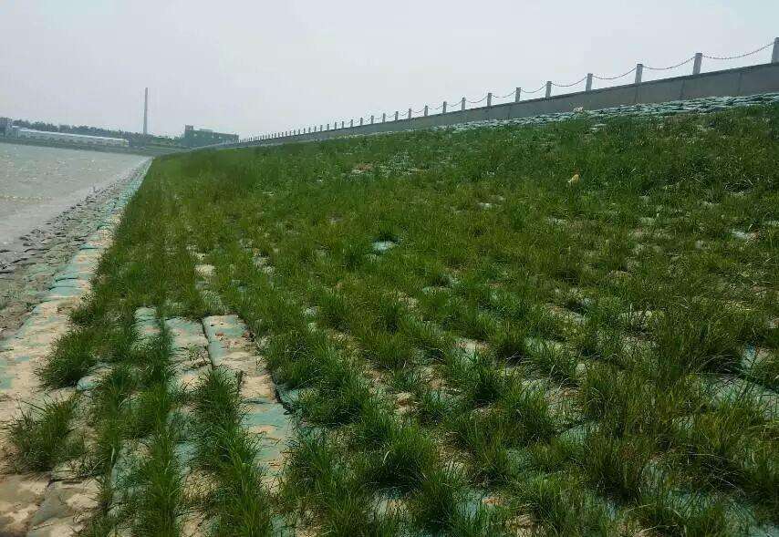 防治方案:生态修复目标和原则