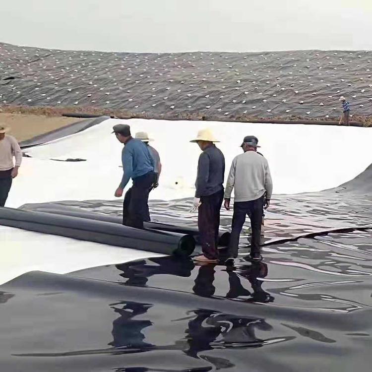 如何根据防渗渠道的自然环境条件选择防渗土工膜?