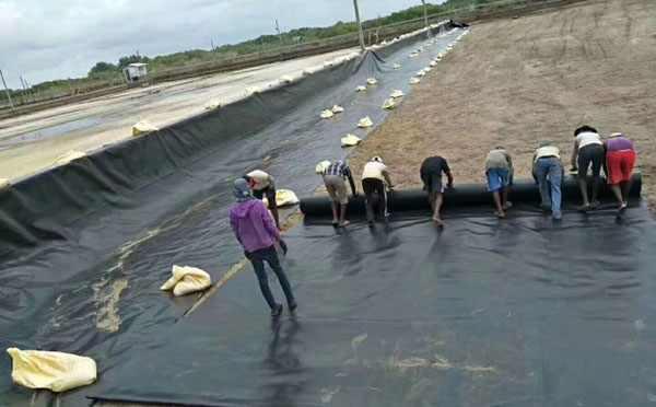 1-220315110214943.jpeg 1-220315110214943.jpeg