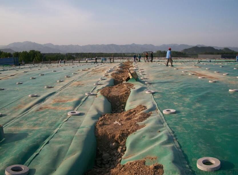 高密度聚乙烯土工膜的成型工艺有两种类型  推广前景广阔