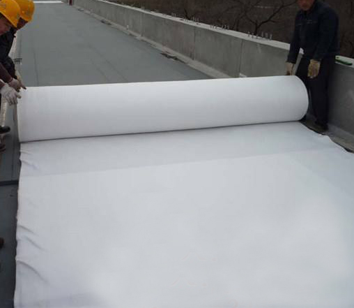 timg (7).jpg timg (7).jpg